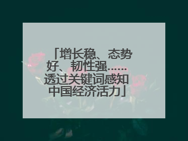 增长稳、态势好、韧性强……透过关键词感知中国经济活力