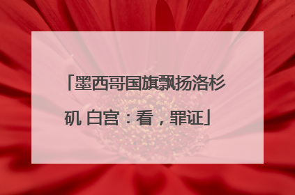 墨西哥国旗飘扬洛杉矶 白宫：看，罪证