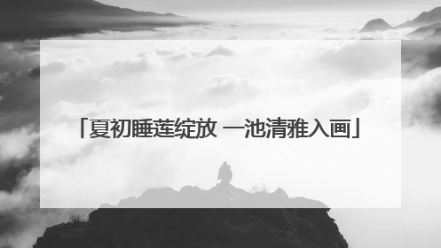 夏初睡莲绽放 一池清雅入画