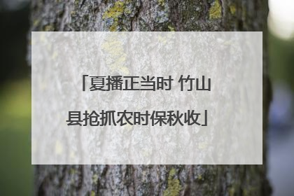 夏播正当时 竹山县抢抓农时保秋收