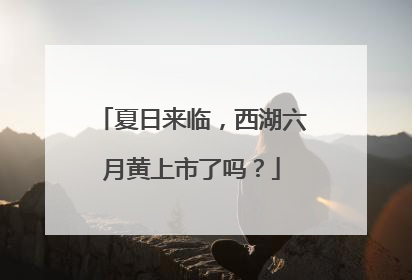 夏日来临，西湖六月黄上市了吗？