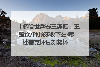 多哈世乒赛三连冠，王楚钦/孙颖莎收下兹·赫杜塞克杯复刻奖杯