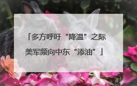 多方呼吁“降温”之际 美军频向中东“添油”