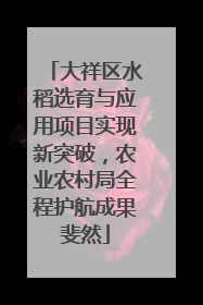 大祥区水稻选育与应用项目实现新突破，农业农村局全程护航成果斐然