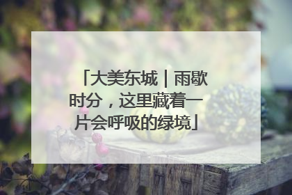 大美东城｜雨歇时分，这里藏着一片会呼吸的绿境