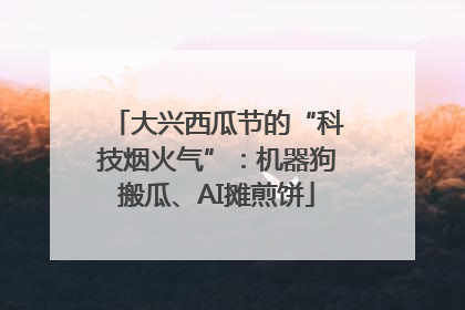 大兴西瓜节的“科技烟火气”：机器狗搬瓜、AI摊煎饼