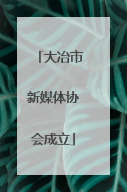 大冶市新媒体协会成立