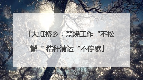 大虹桥乡：禁烧工作“不松懈“ 秸秆清运“不停歇