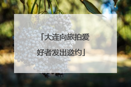 大连向旅拍爱好者发出邀约