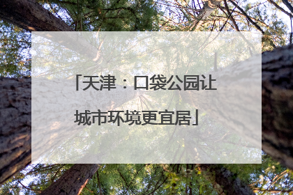 天津：口袋公园让城市环境更宜居