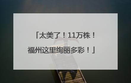 太美了！11万株！福州这里绚丽多彩！