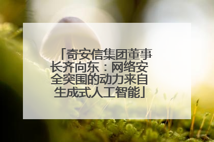 奇安信集团董事长齐向东：网络安全突围的动力来自生成式人工智能