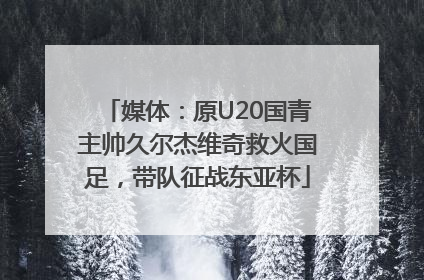媒体：原U20国青主帅久尔杰维奇救火国足，带队征战东亚杯