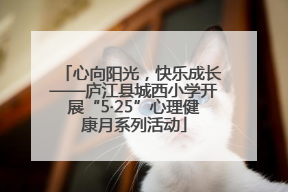 心向阳光，快乐成长——庐江县城西小学开展“5·25”心理健康月系列活动