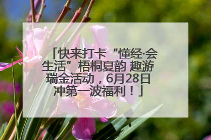 快来打卡“懂经·会生活”梧桐夏韵 趣游瑞金活动，6月28日冲第一波福利！