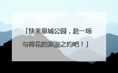 快来泉城公园，赴一场与荷花的浪漫之约吧！