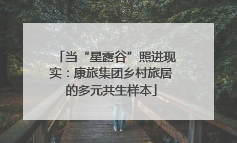 当“星露谷”照进现实：康旅集团乡村旅居的多元共生样本