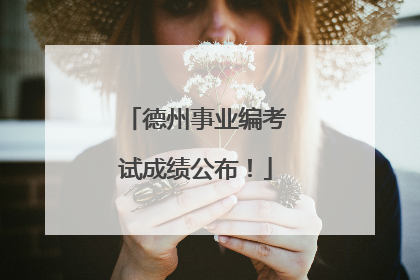 德州事业编考试成绩公布！