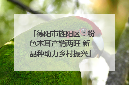 德阳市旌阳区：粉色木耳产销两旺 新品种助力乡村振兴
