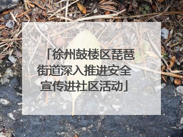 徐州鼓楼区琵琶街道深入推进安全宣传进社区活动