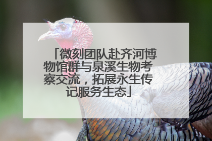 微刻团队赴齐河博物馆群与泉溪生物考察交流，拓展永生传记服务生态
