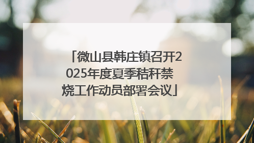 微山县韩庄镇召开2025年度夏季秸秆禁烧工作动员部署会议