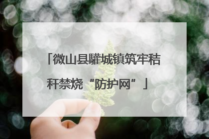 微山县驩城镇筑牢秸秆禁烧“防护网”