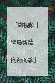 微视频｜鹭岛新篇 向海而歌