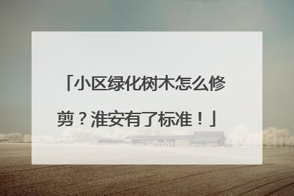 小区绿化树木怎么修剪？淮安有了标准！