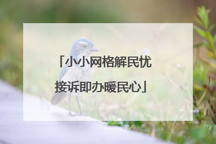 小小网格解民忧 接诉即办暖民心