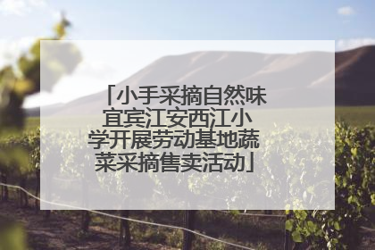 小手采摘自然味 宜宾江安西江小学开展劳动基地蔬菜采摘售卖活动