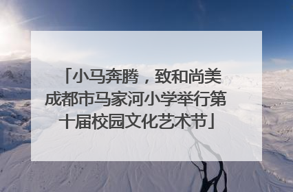 小马奔腾，致和尚美 成都市马家河小学举行第十届校园文化艺术节