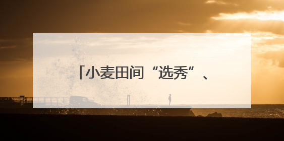 小麦田间“选秀”、蚕房变“流水线”……三夏收获正在进行