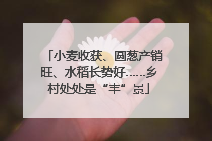 小麦收获、圆葱产销旺、水稻长势好……乡村处处是“丰”景