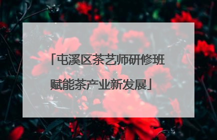屯溪区茶艺师研修班赋能茶产业新发展