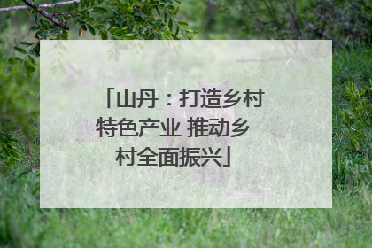 山丹：打造乡村特色产业 推动乡村全面振兴