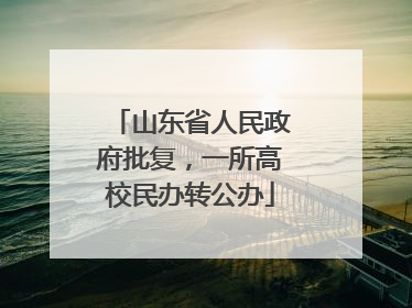 山东省人民政府批复，一所高校民办转公办