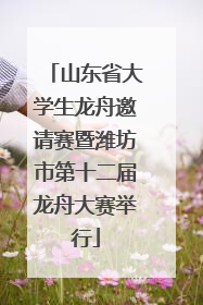 山东省大学生龙舟邀请赛暨潍坊市第十二届龙舟大赛举行