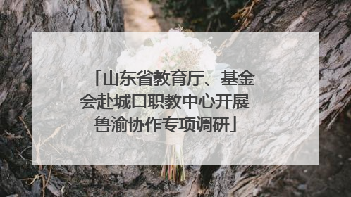 山东省教育厅、基金会赴城口职教中心开展鲁渝协作专项调研