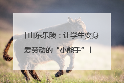 山东乐陵：让学生变身爱劳动的“小能手”