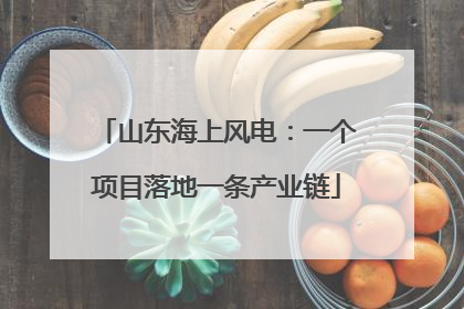 山东海上风电：一个项目落地一条产业链