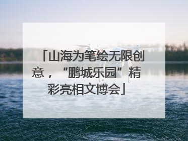 山海为笔绘无限创意，“鹏城乐园”精彩亮相文博会