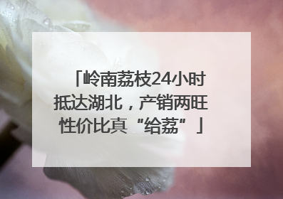 岭南荔枝24小时抵达湖北，产销两旺性价比真“给荔”