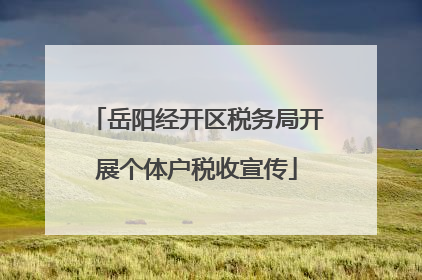 岳阳经开区税务局开展个体户税收宣传
