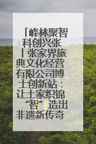 峰林聚智 科创兴张丨张家界旅典文化经营有限公司博士创新站：让土家织锦“智”造出非遗新传奇