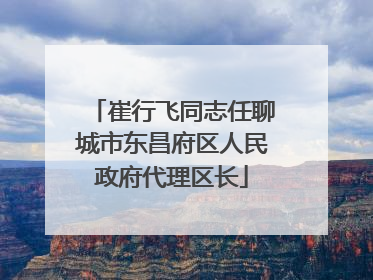 崔行飞同志任聊城市东昌府区人民政府代理区长