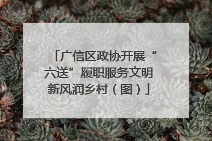 广信区政协开展“六送”履职服务文明新风润乡村（图）