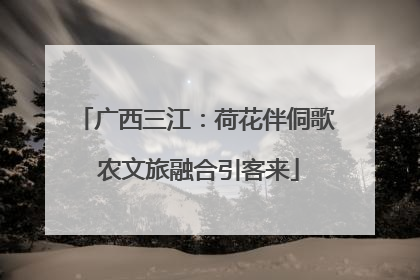 广西三江：荷花伴侗歌 农文旅融合引客来