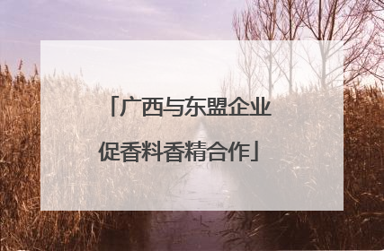 广西与东盟企业促香料香精合作