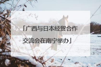 广西与日本经贸合作交流会在南宁举办